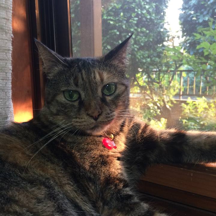 Bd0583c1 2ff2 40cc ae25 3aed163bce99