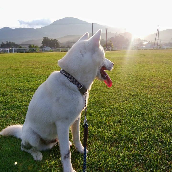 Bd05a4dd c195 40d7 b5e1 1e00de53d089