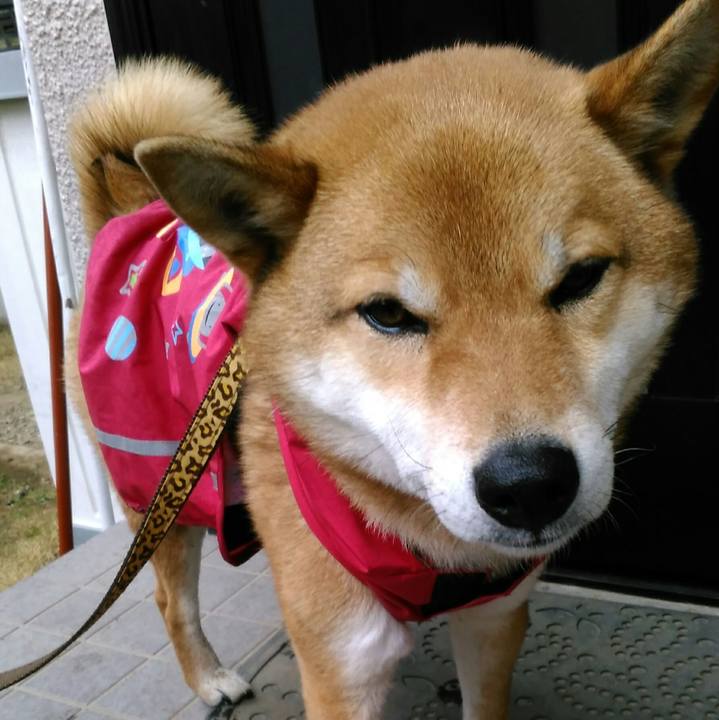 Bd05d3f0 8149 4cde 8508 361bf0cd26ff