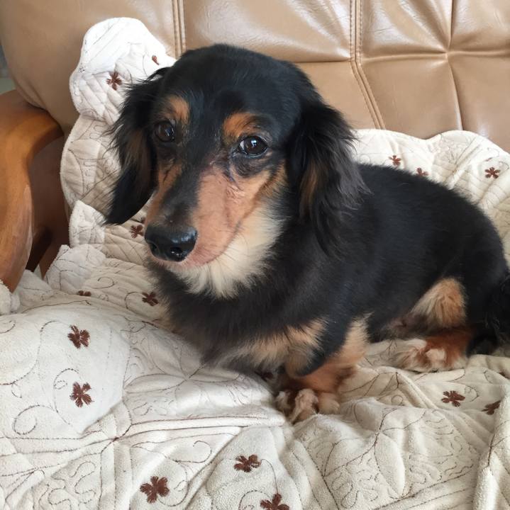 Bd0725cb 43bc 49e8 a640 2a53e7725e6d