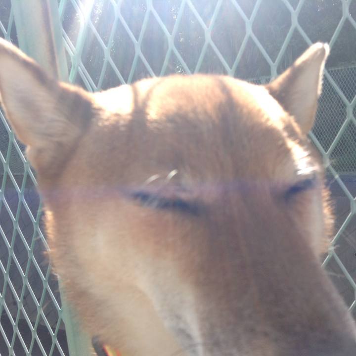 Bd073840 39b4 4f32 8632 d0b0777614b5