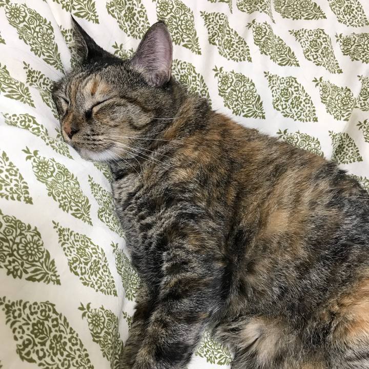 Bd076602 6f53 414c 9793 e6669f11e8a7