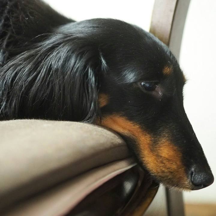 Bd076e9f 15cd 4863 8e68 8dd5c8c69b60