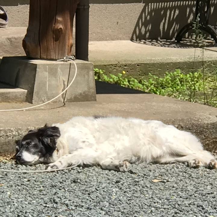 Bd07b69d 7f6f 4033 b0bb dc36333a2538