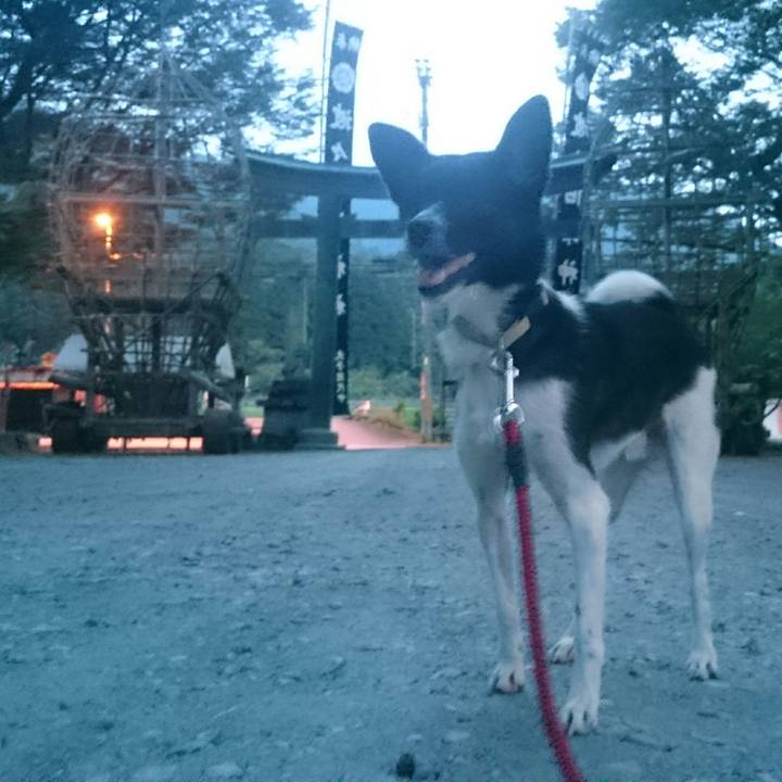 Bd07c96c dfef 41a7 8aa4 bb66e7a3568a