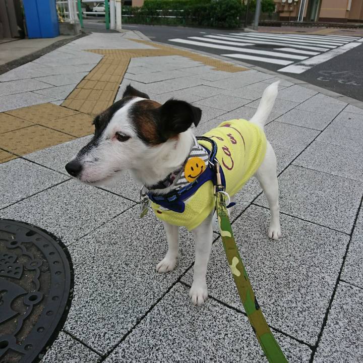 Bd08474b 017a 4828 80ac a73100f63e3b