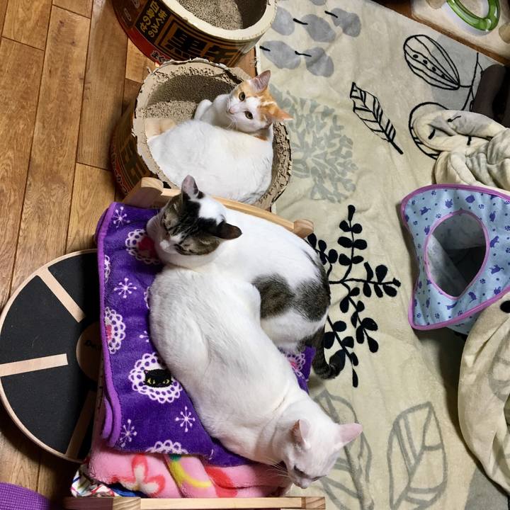 Bd08c8d7 5f47 4adf bd32 ea5fc14e8dd8