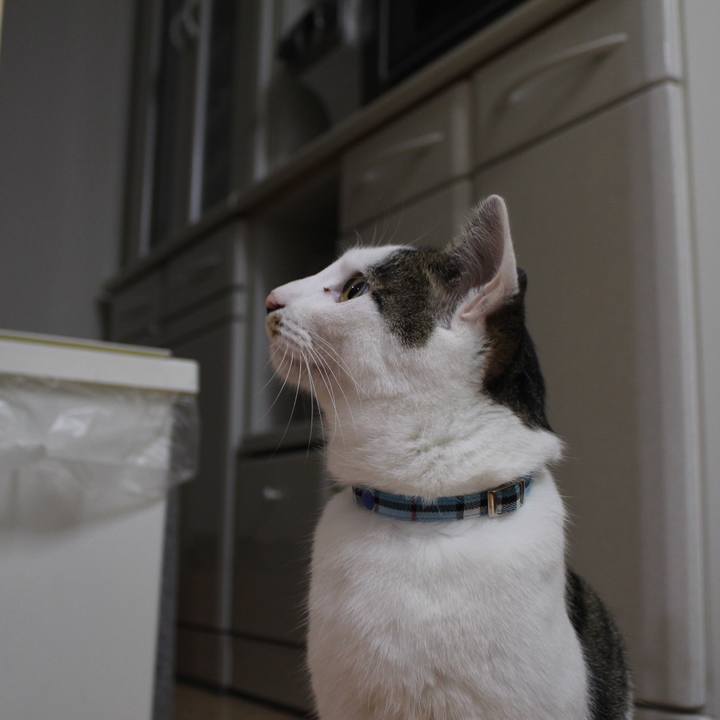 Bd08f0b8 7b3c 49d4 9ba7 39b3a456b64d