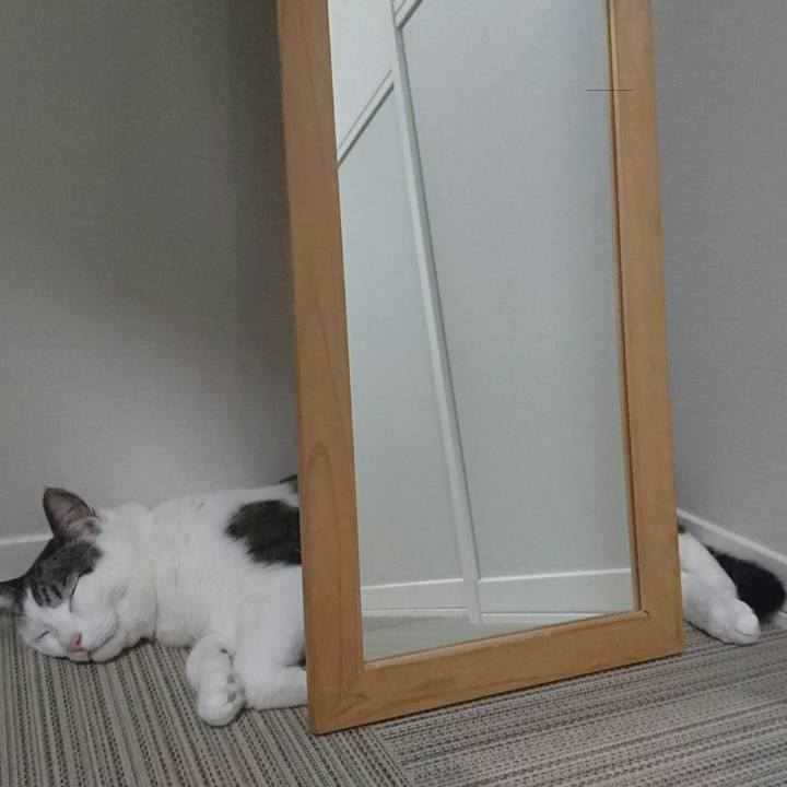 Bd08f4b0 9066 44a0 8699 b737f705f3dc