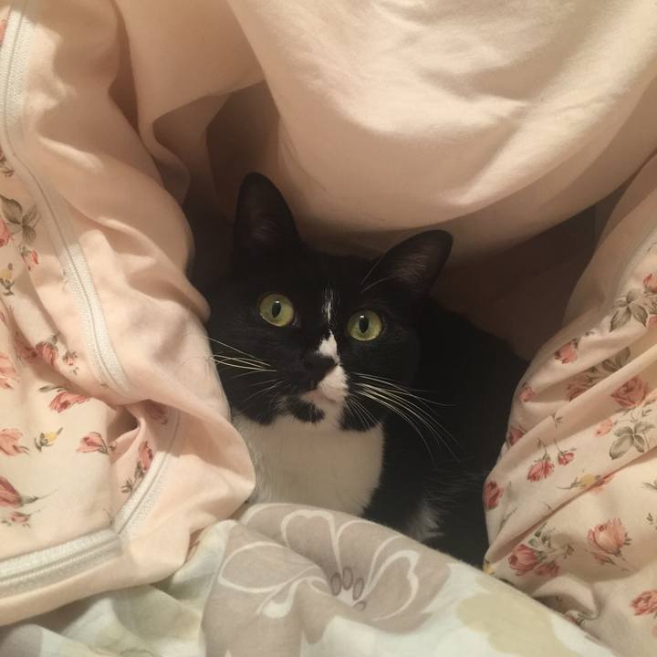 Bd09d113 bae4 4420 b0b0 2e5236489506