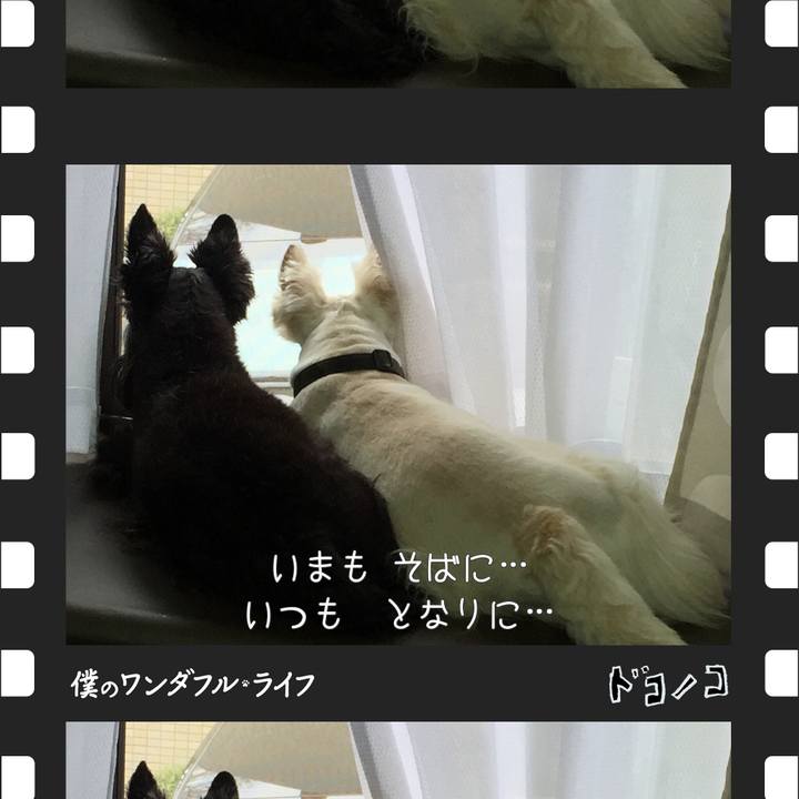 Bd0a07c8 82b3 46e2 9dfc c5898aa355ea