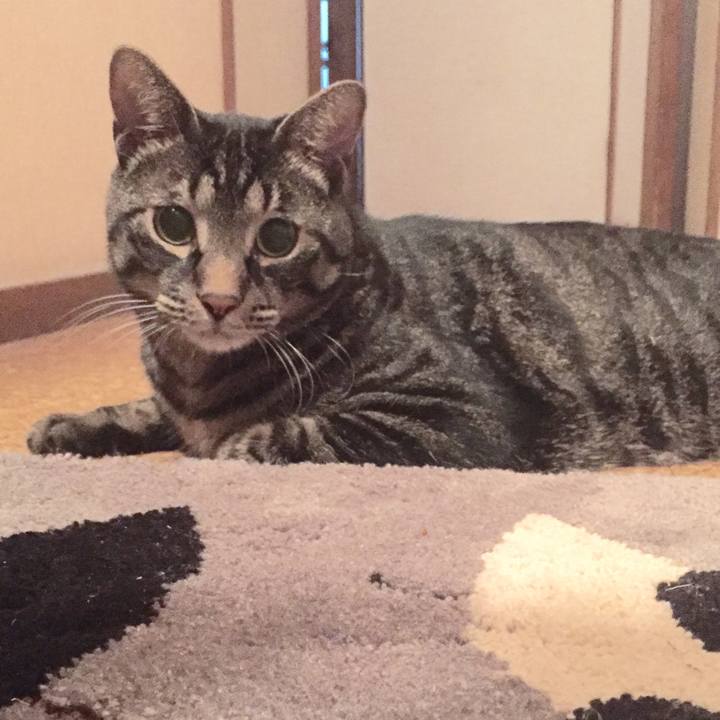 Bd0a158a f2d2 4b0e 9311 f277d6f09962