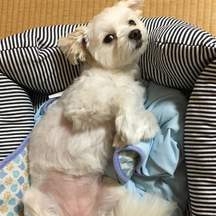 Bd0abb59 fcef 4a3a 8145 cf9e25291c4f