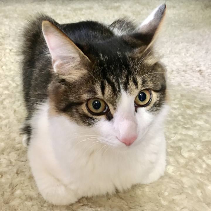 Bd0aded7 e063 4938 927b d3fbc62f9a19