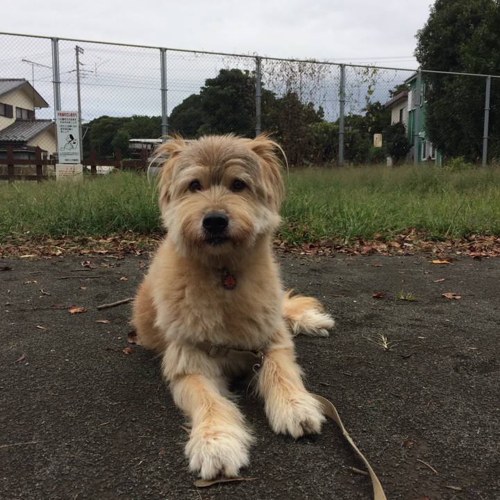 Bd0b2179 9cae 42f4 8920 7dc0a52b95d5