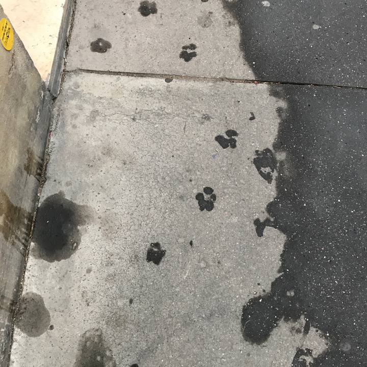 Bd0b5a77 3f88 461c 9b0f 63aa76f586e1