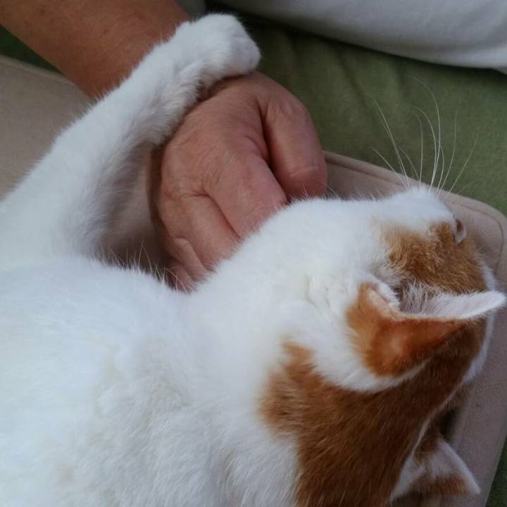 Bd0c2728 ee4e 4170 a9e0 61dfbba7c6d3