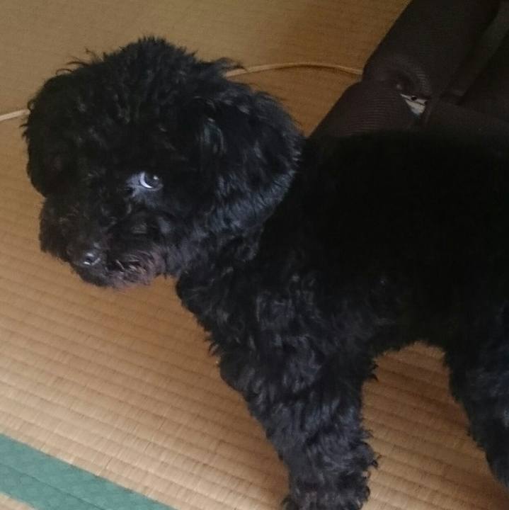 Bd0c2e70 bcb6 450b b630 5ed13e0dce7e