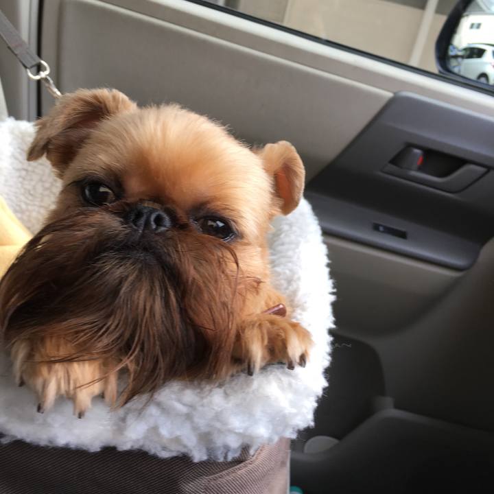 Bd0c9295 5f35 4eb8 8c2c 59ff43c023a0