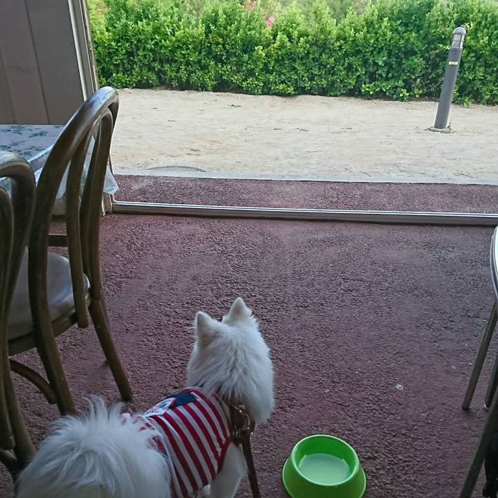 Bd0d4909 4d87 4ee9 984e a8d5d79b6fa6