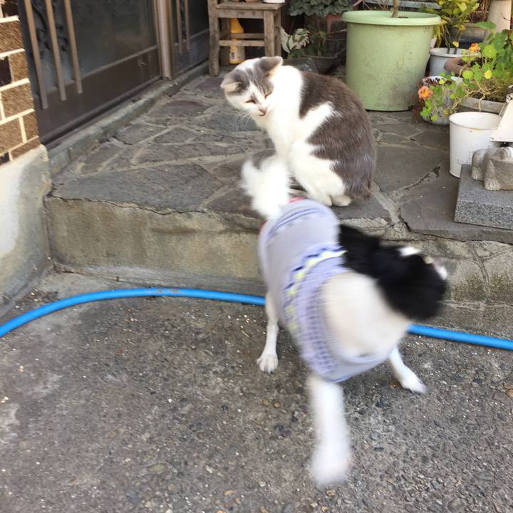 Bd0d8e45 924b 4f19 b014 15254cc58b89