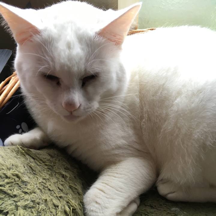 Bd0e2692 fa14 42d2 b377 97ea5a14327d