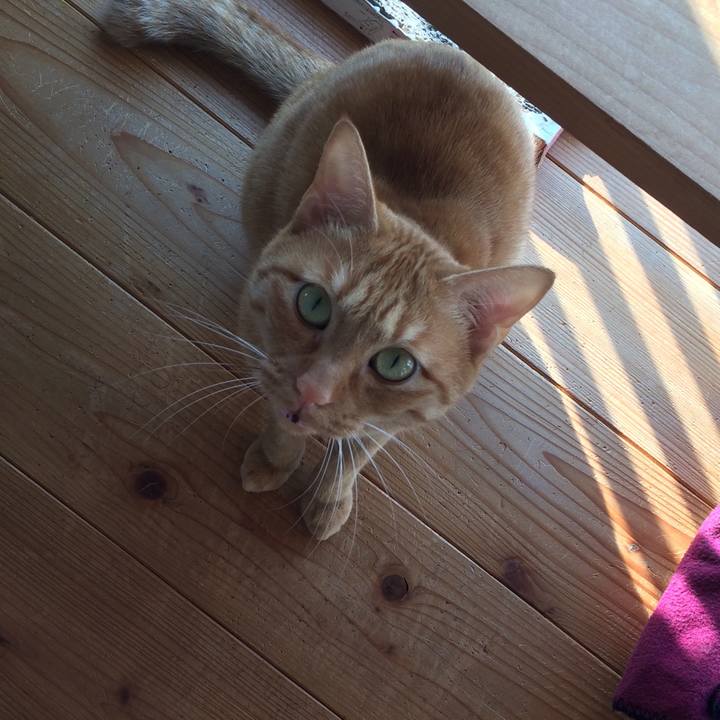 Bd0e4ea2 0c83 472b 8aec 661a15555733