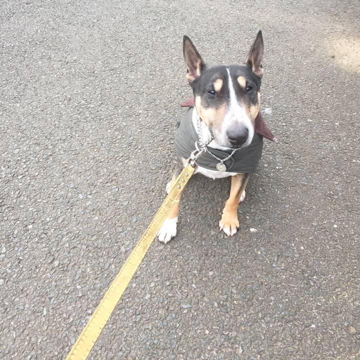 Bd0ed4aa 82fa 43fa 925e 04762b13b4c9