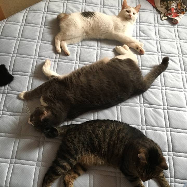 Bd0eeec9 f6a5 4baa 908b a02544311ce8