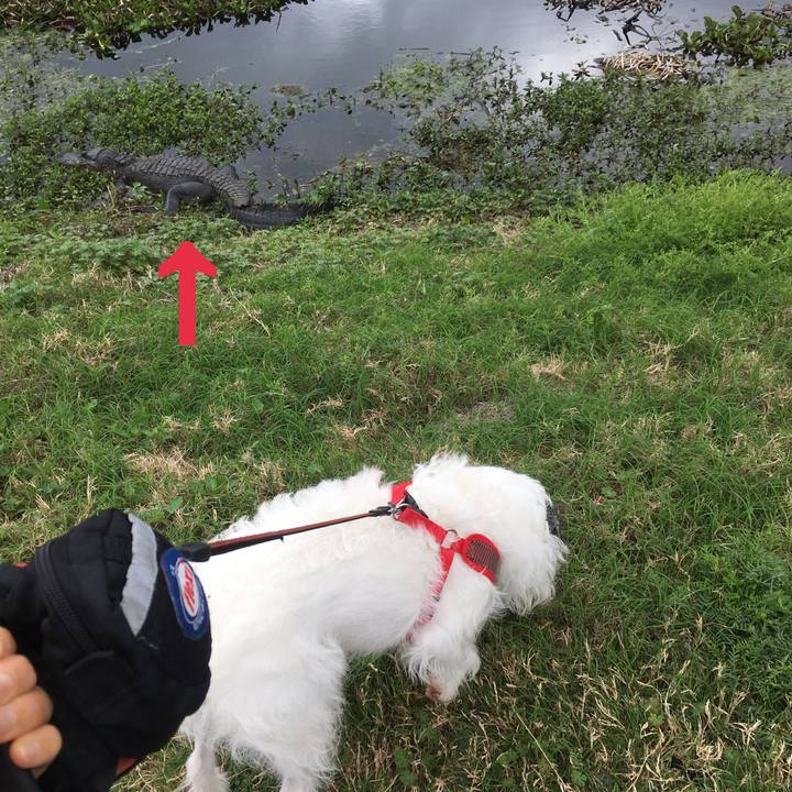 Bd0f23ee 84e7 489f 9bec 7f0ad280b3b9