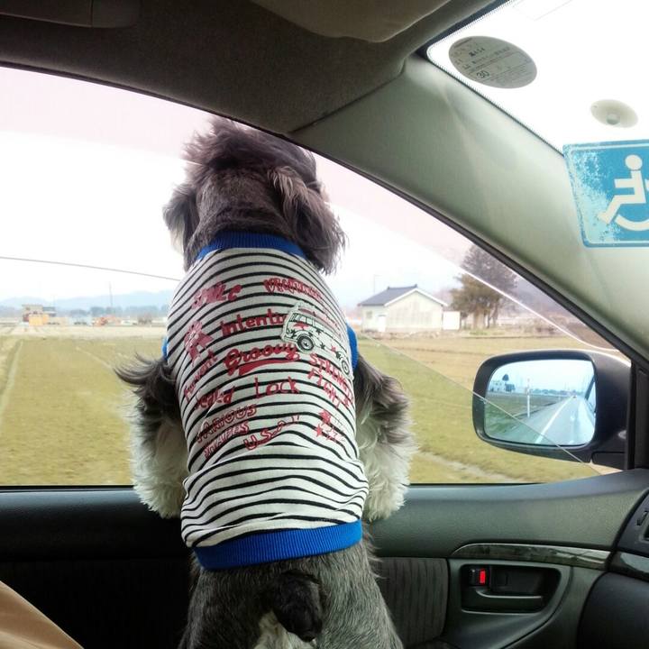 Bd0f3fa4 90ff 447f 8d92 42ef5c8def51