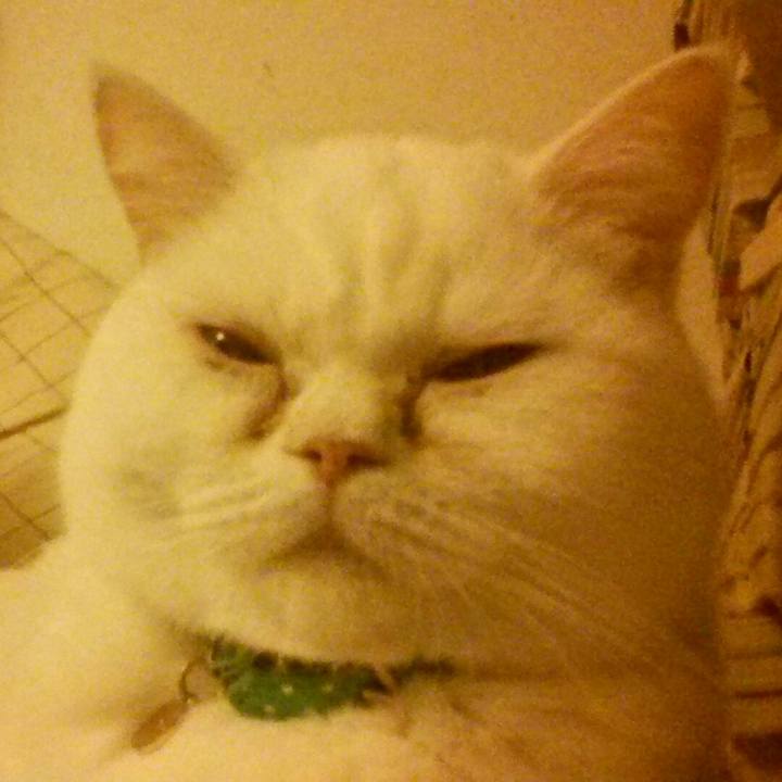 Bd0fa9da 9b32 436f b3a6 935b1acfdec8