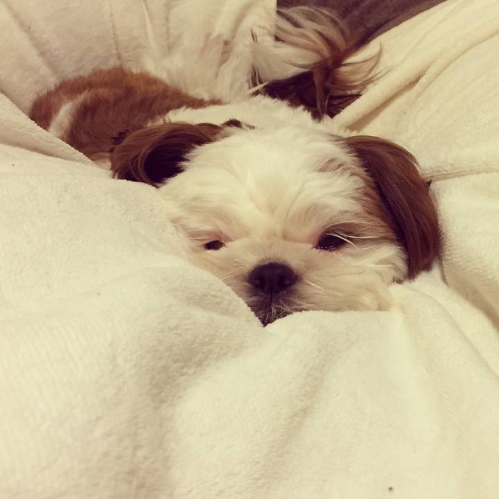 Bd10aa51 a3d2 41b4 a65f 405c90cc7713