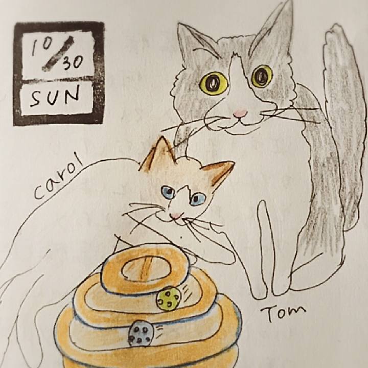 Bd10b3b2 2b7a 42c3 8436 73f5595cd69e