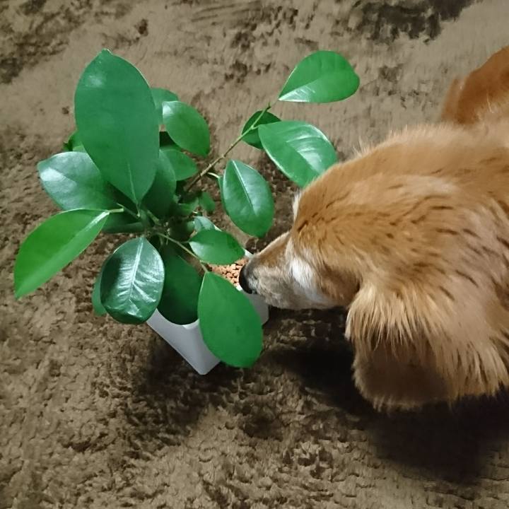 Bd111b38 02c2 43c8 8e11 89379ebbc5dc