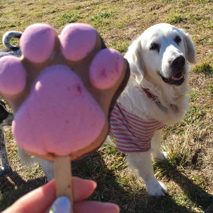 Bd1268da 9871 40f5 973d 0d6c1dedf7f6