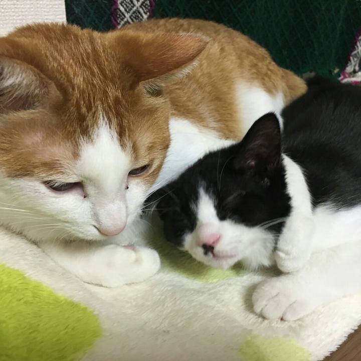 Bd135403 a20a 41c3 9e8c 0920ebe84dcd