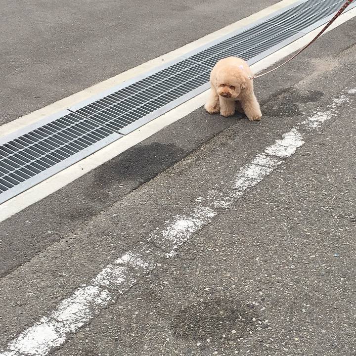 Bd1397d7 05e9 4d2c aabe be2fce833c2a