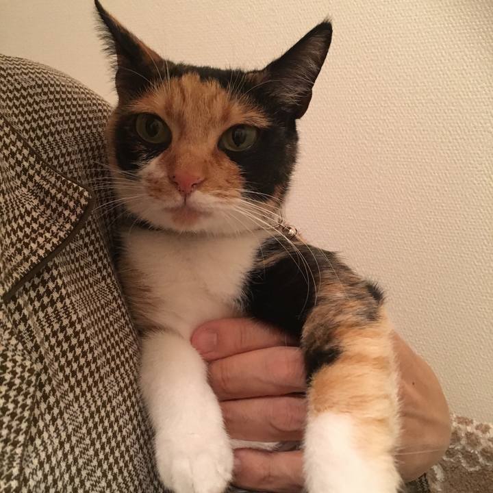 Bd13bc2a b9a4 479b 9784 1f0d34439b0b