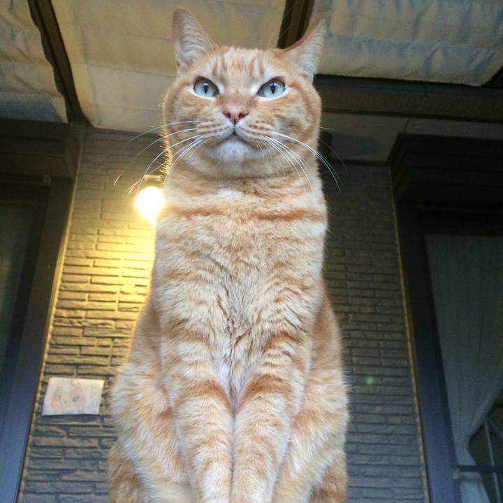 Bd14787f f438 4119 b3b6 9841c4d6c708