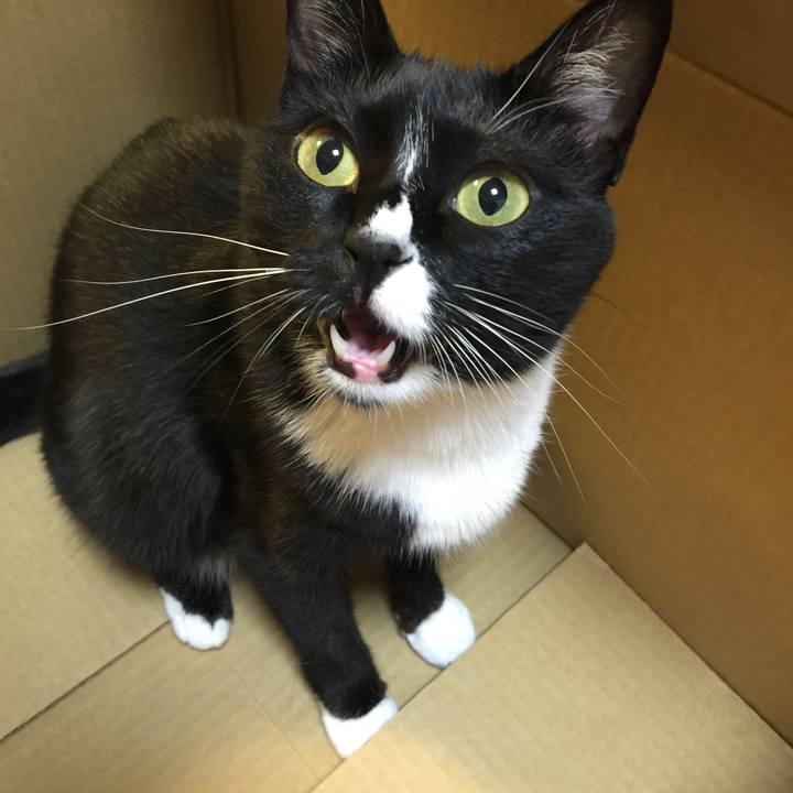 Bd154fc3 f8ef 46bb b23b 765a8359fbc1