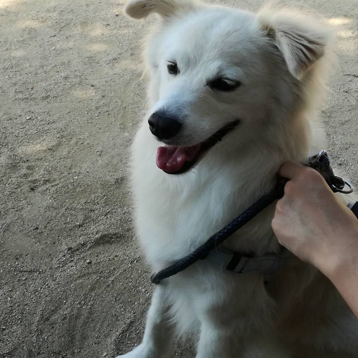 Bd156858 0ed3 4f57 8145 6e769148cdfc