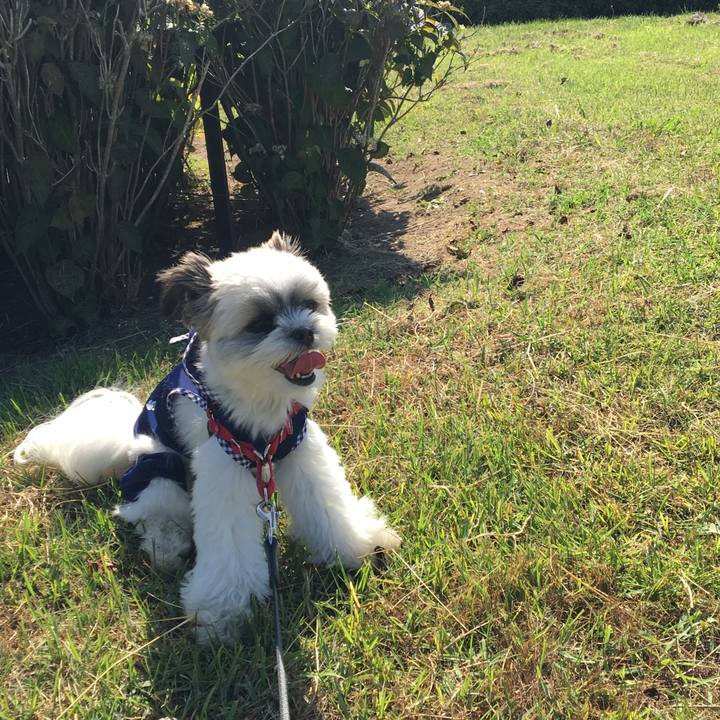 Bd159121 4b26 4c59 9c56 544be421a2a1