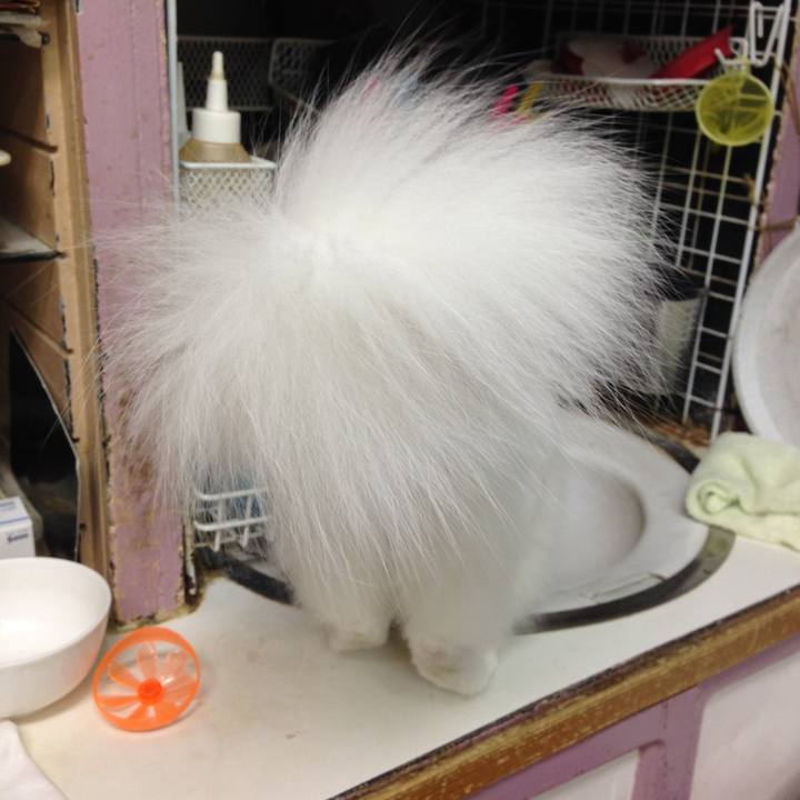 Bd15ba58 1a76 447e 83f0 fb5349c2a32e