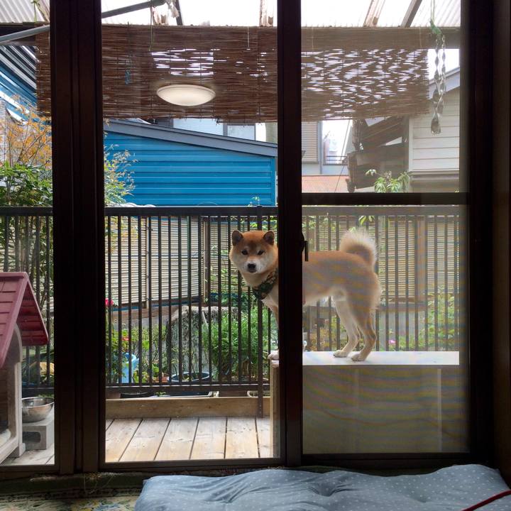 Bd167769 ba58 4e56 b774 229944eb9a9f