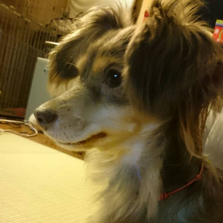 Bd16c174 f6ea 462a 8eb1 f8a899138fc7