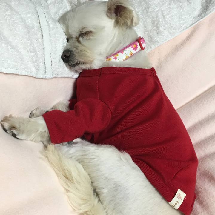 Bd16e120 e7e2 4288 a824 d3c694baa27e