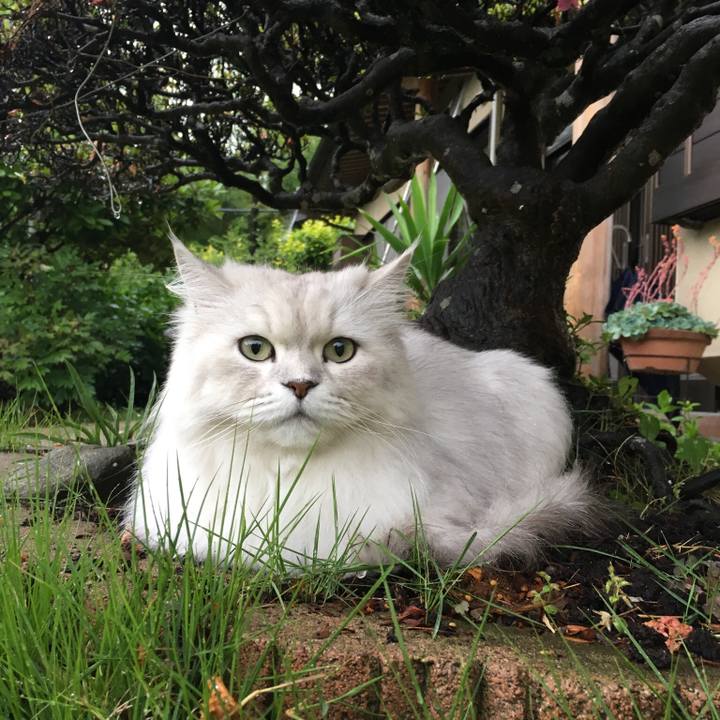 Bd177d44 78d5 43cd 83d4 861c911b0562