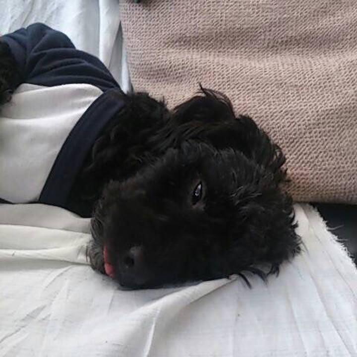 Bd182541 a021 412d a540 a763247872a4