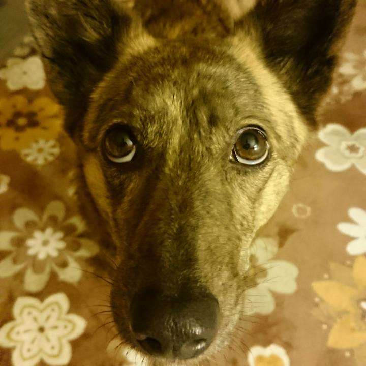 Bd1839f7 7d1e 4db6 ad0e 06afd79304f9